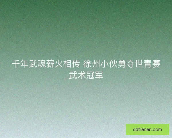 千年武魂薪火相传 徐州小伙勇夺世青赛武术冠军